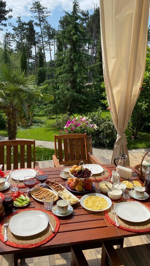 Neli & Zaal Guest House Telavi Eksteriør billede