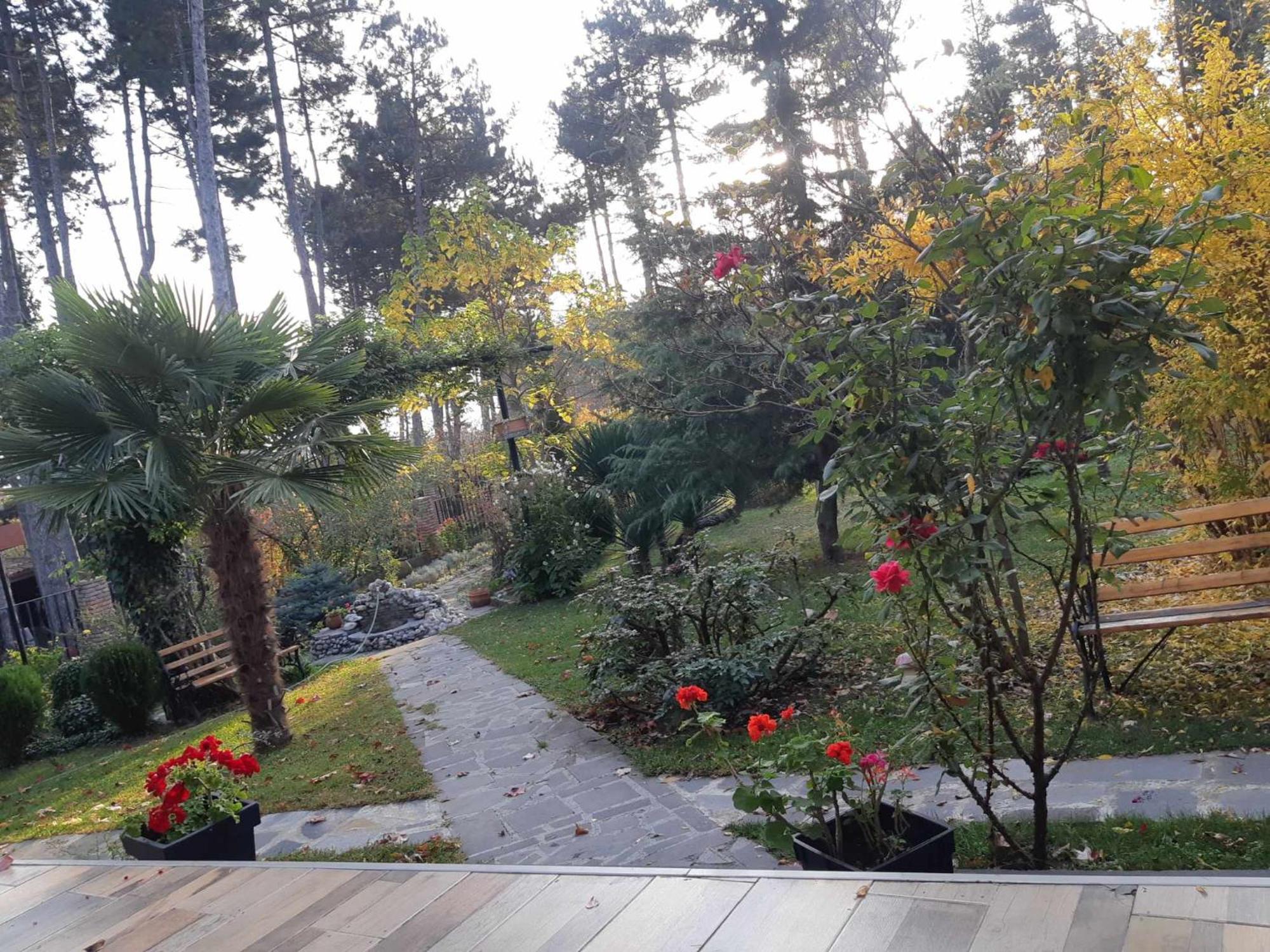 Neli & Zaal Guest House Telavi Eksteriør billede